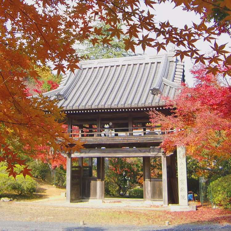 Kamigori Town